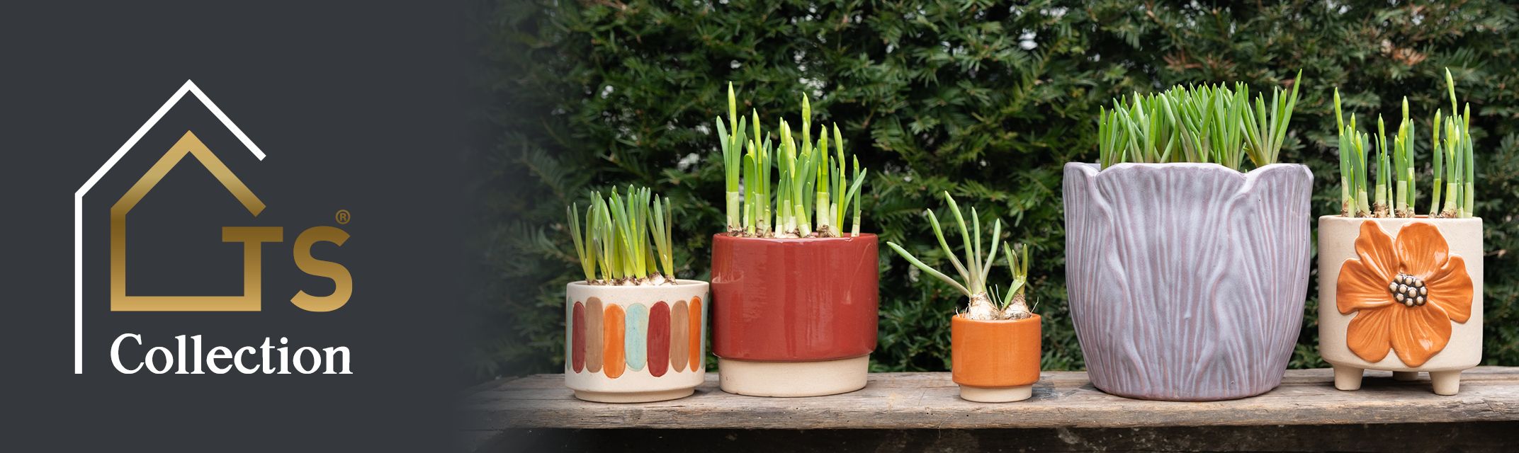 Bloembollen Bloembollen