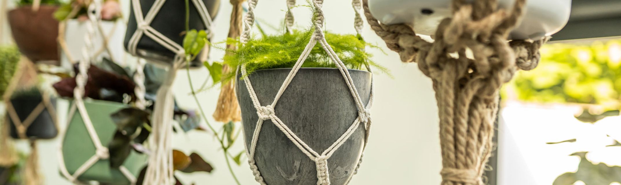 Bloempothangers Bloempothangers