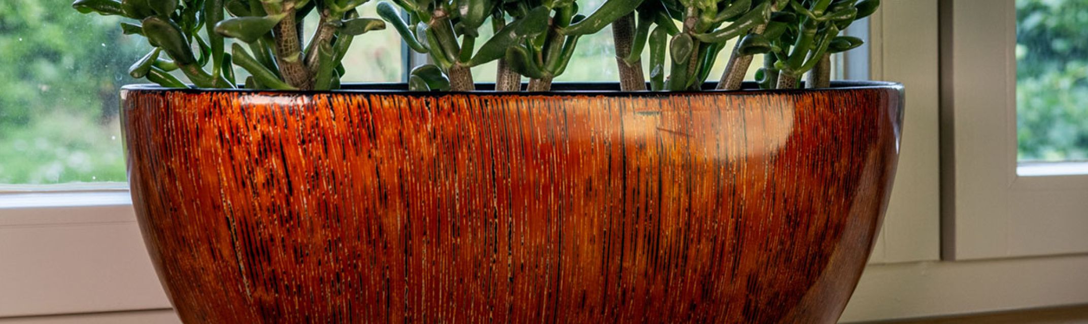 Langwerpig Langwerpig