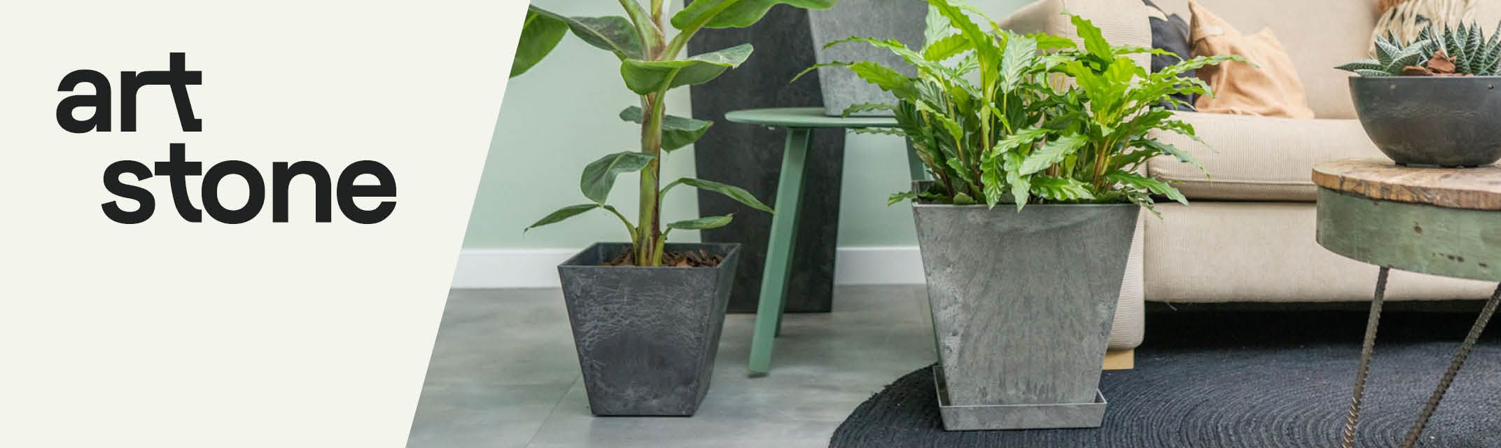 Zomerbloeiers Zomerbloeiers