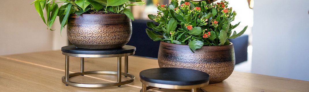 TS Collection indoor lifestyle TS Collection indoor lifestyle