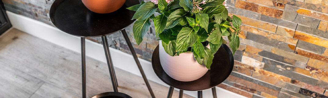 Indoor lifestyle Indoor lifestyle