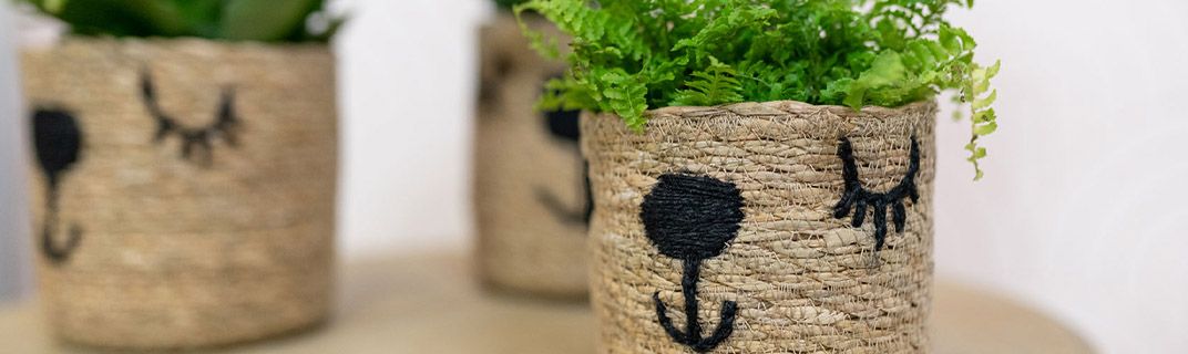 Limited Edition Limited Edition