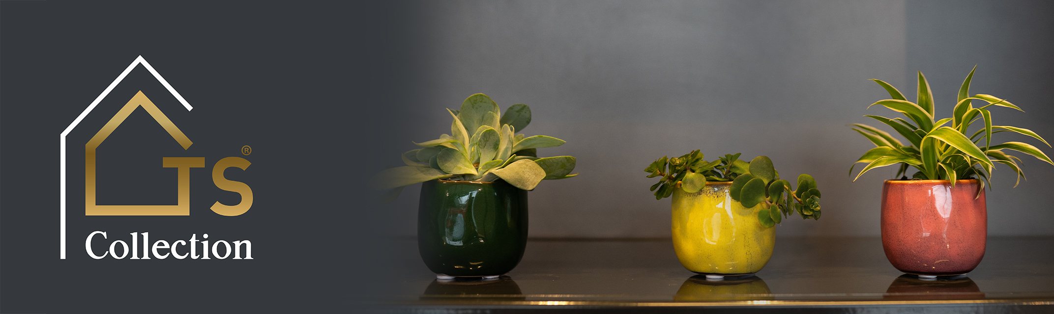 Meerkleurig Meerkleurig