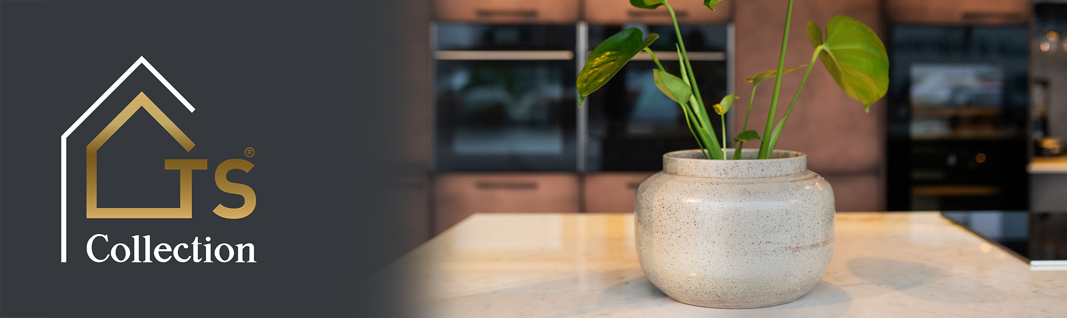 TS Collection TS Collection