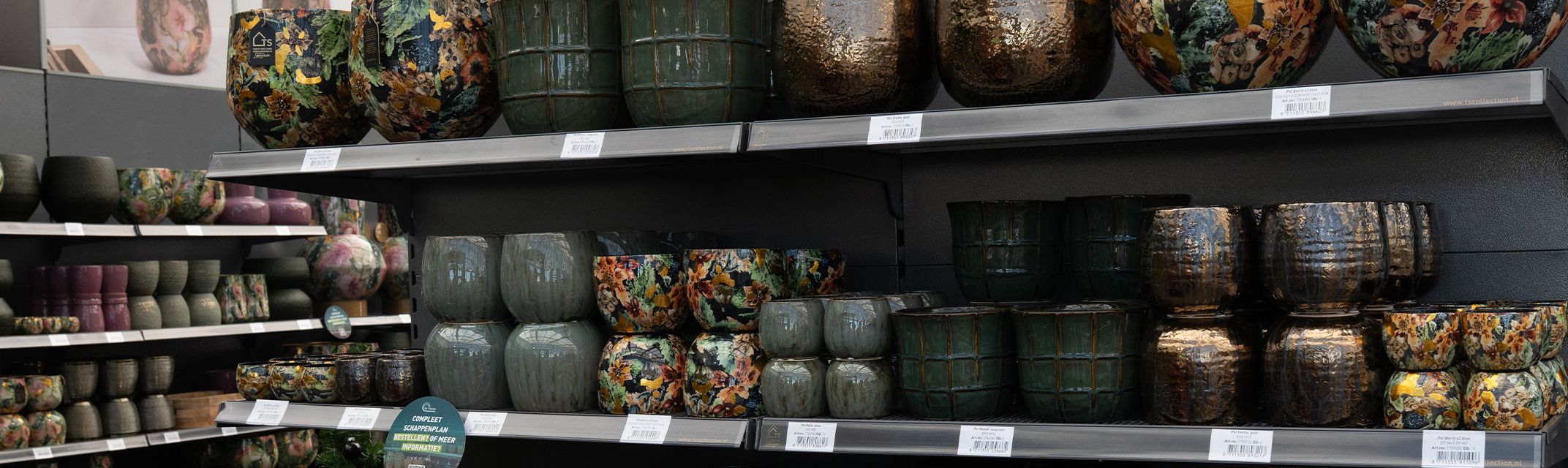 Berry Blue Berry Blue