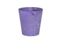 Pot Coloured grape D10 H11