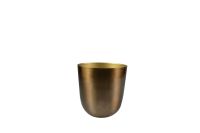 Pot Mayk gold D15 H16