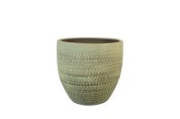 Pot Rinca shiny green D17 H15