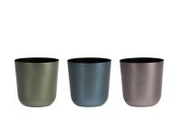 Pot Mayk fall D7 H7 3 assorti