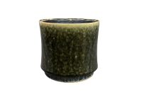 Pot Nolan pine D23 H21