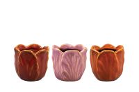 Pot Tulip kleur D8 H8