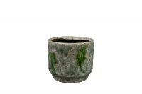 Pot Julian mosgroen D14 H14