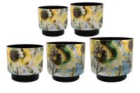 Pot set van 5 Camelia aquarel D22 H20