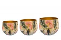 Pot set van 3 Monstera mystery D21 H17