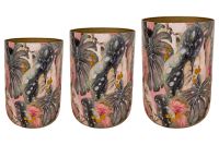 Pot set van 3 Monstera mystery D58 H78