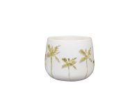 Pot Palm wit D19 H15