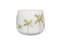 Pot Palm wit D21 H17