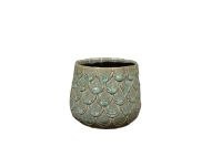 Pot Debby tijm D14 H12