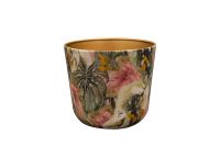 Pot Monstera mystery D18 H16