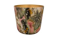 Pot Monstera mystery D23 H20