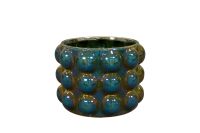 Pot Musa shiny green D21 H15