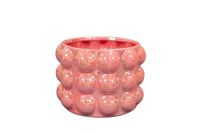 Pot Musa shiny pink D21 H15