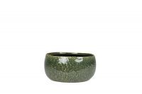 Bowl Mischa forest D21 H11 