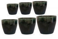 Pot set van 6 Alisa pine D49 H46