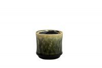 Pot Nolan pine D7 H7