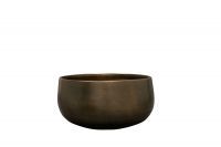 Bowl Esra champagne D28 H13