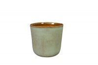 Pot Hedy thyme D13 H13