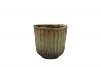 Pot Roger tijm D13 H12