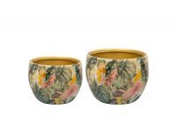 Pot set van 2 Monstera mystery D9 H7