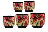 Pot set van 5 Camelia poppy D22 H20
