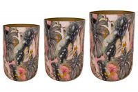 Pot set van 3 Monstera mystery D58 H78