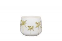 Pot Palm wit D19 H15