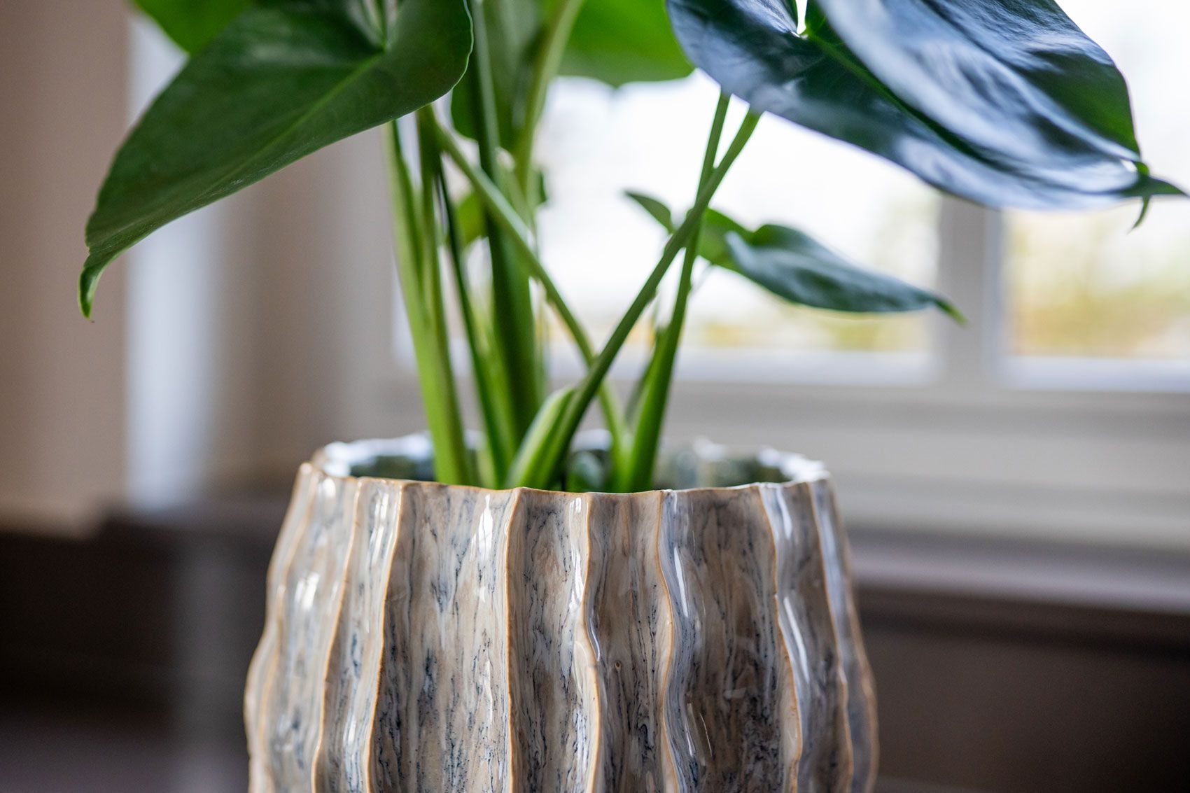 Collectie Autumn Winter 2026