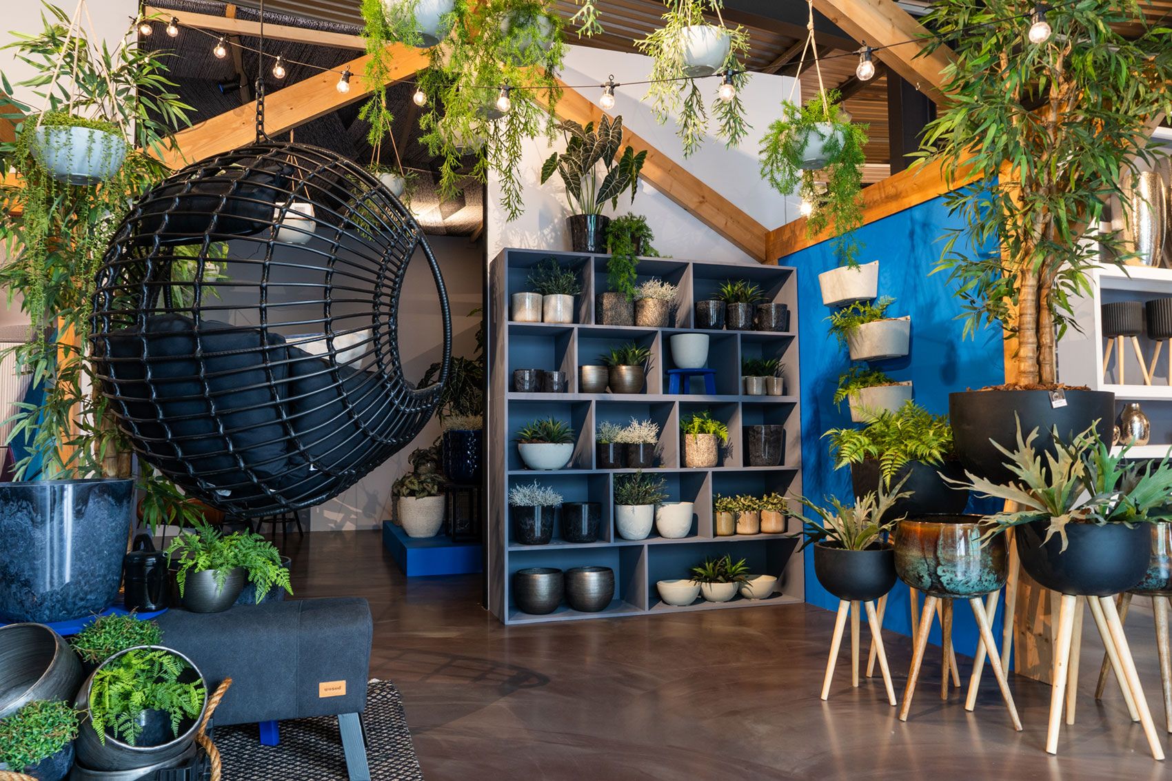 Bezoek onze showroom