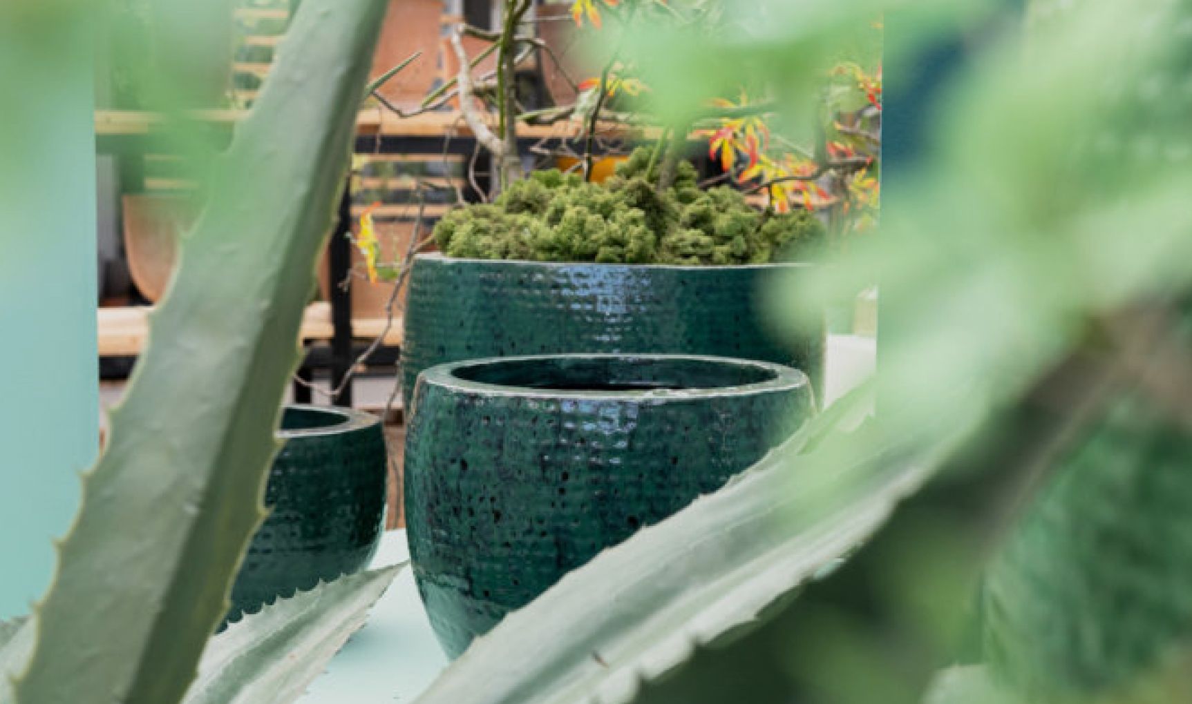 Headquarters rijssen